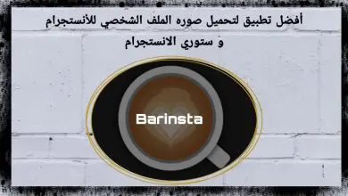 طريقة تحميل الفيديوهات والأستوري من الانستجرام Barinsta