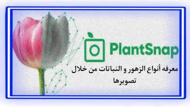 تطبيق التعرف علي نوع النباتات من خلال تصويرها بالهاتف