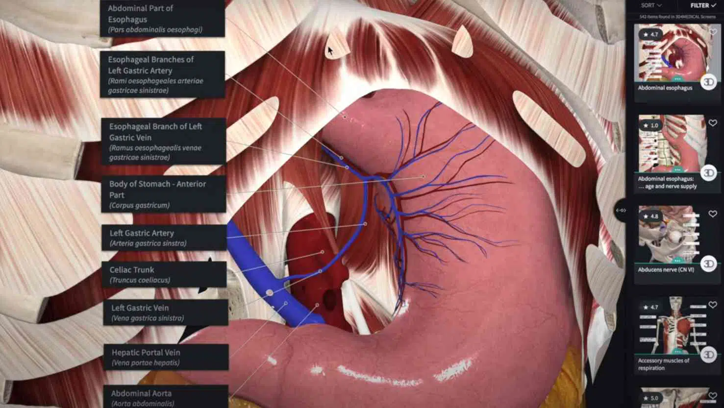 تحميل برنامج Anatomy 3D Atlas مهكر للكمبيوتر مجانا 3