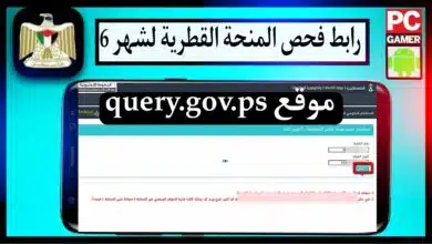 موقع query.gov.ps رابط فحص المنحة القطرية 100دولار لقطاع غزة شهر يونيو 2023 12