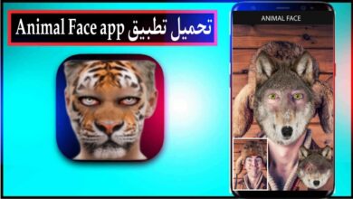 تحميل تطبيق animal face app للاندرويد وللايفون 2024 من ميديا فاير 3