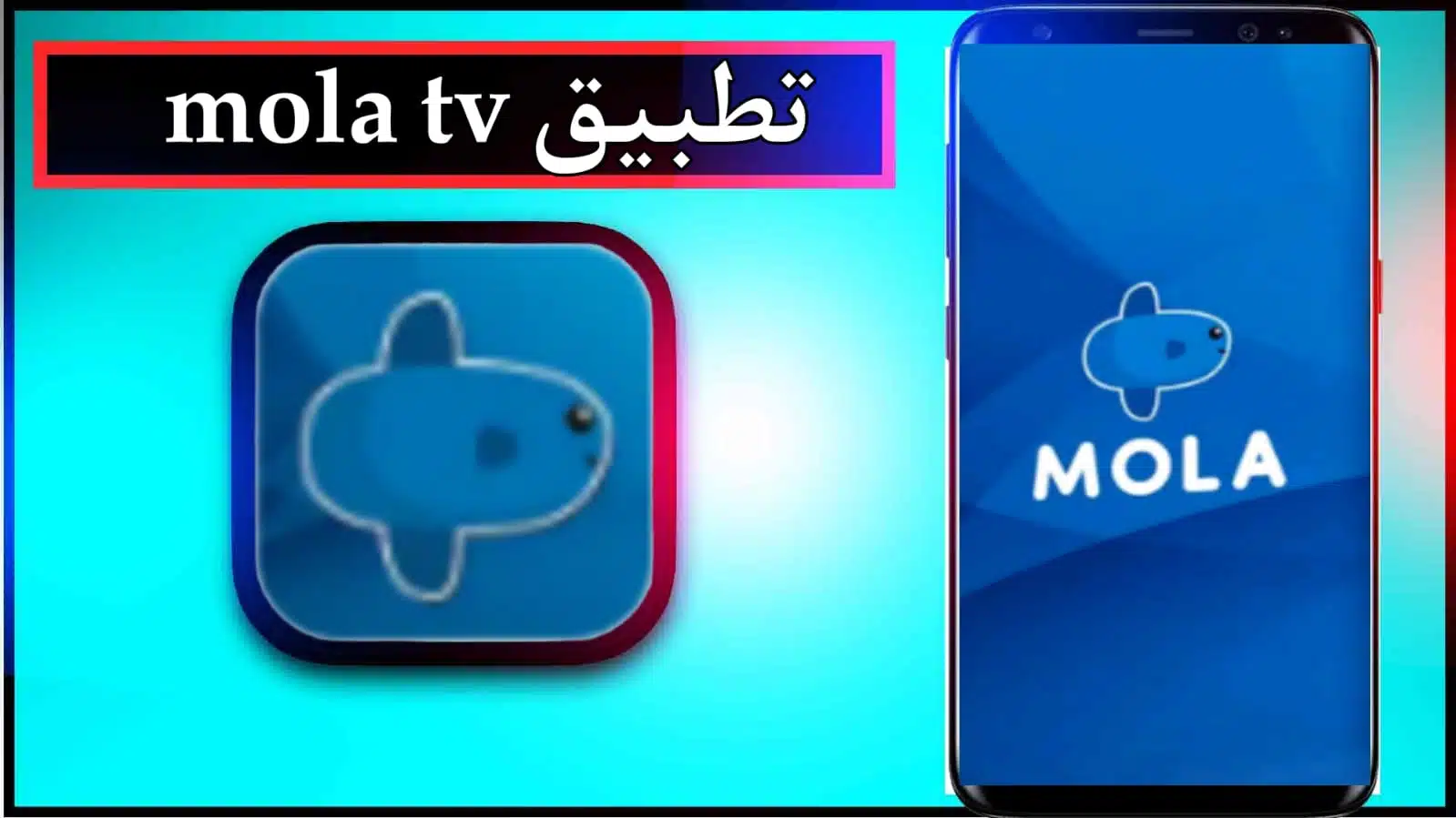 تحميل تطبيق mola tv لمشاهدة الافلام والمسلسلات 2024 مجانا 2